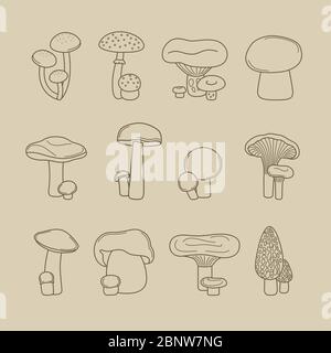 Symboles de la ligne de menu et de recettes de champignons dessinant à la main à la main Illustration de Vecteur