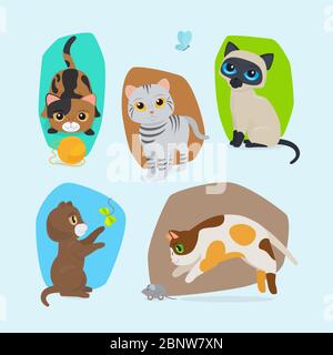 Chatons mignons. Ensemble d'illustrations isolées chats mignons Vector Illustration de Vecteur