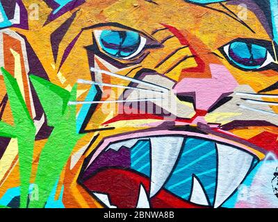 Graffiti à la tête d'un tigre vu à Hambourg Banque D'Images