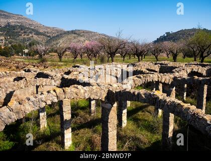 Bassa dels Arcs, un réservoir d'eau du XVIIIe siècle, avec des amandiers en pleine floraison en arrière-plan (Xaló, Jalón, Marina Alta, Alicante, Espagne) Banque D'Images