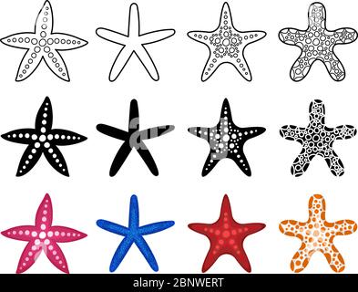 Icône Starfish définie sur fond blanc. Vecteur de la vie marine invertébrés marins mollusques étoile poissons Illustration de Vecteur