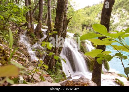 Petite cascade soyeuse aux lacs de Plitvice, au site de l'UNESCO et au parc national croate qui a rouvert pour la première fois après la fin de l'écluse du virus Corona Banque D'Images