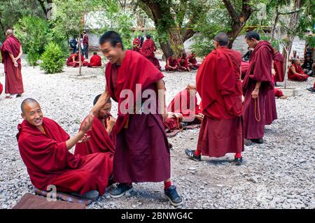 Les moines disputent dans la cour de débat du Monastère de Sera, Lhassa, Tibet. Les débats entre moines sur les doctrines du bouddhisme tibétain. Le monastère sera Banque D'Images