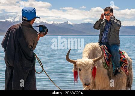 Touriste chinois ridicule sur le yak de retour dans le lac Namtso ou le lac Nam tso au Tibet Chine. Le lac Nam TSO est le deuxième plus grand lac du Tibet, et l'un des Banque D'Images