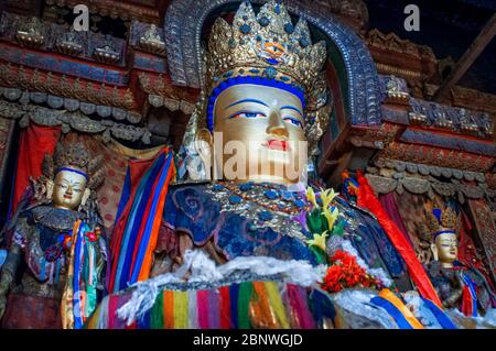 Statue de Bouddha Maitreya à l'intérieur du Chorten de Kumbum au monastère de Palkhor Chode à Gyantse. Monastère de Paelkhor Pelkhor Chode, Gyantse, Gyangze, Tibet, Chi Banque D'Images