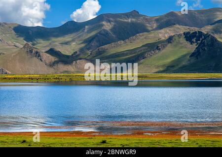 Yamdrok-tso, également appelé Lac Yamdrok, ou Yamzho Yumco est un lac de montagne sacré élevé au Tibet en Chine. Niché parmi les flancs du gris terne et gre Banque D'Images