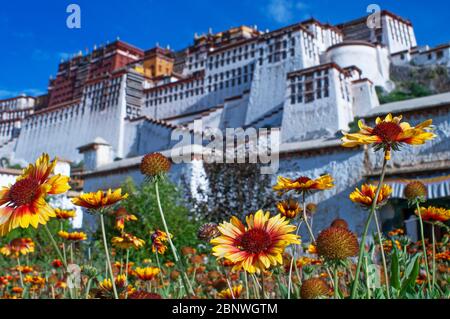 Palais Potala, ancienne résidence du Dalaï Lama à Lhassa au Tibet. Le Palais Potala est une forteresse de Dzong dans la ville de Lhassa, au Tibet. C'était l'hiver Banque D'Images