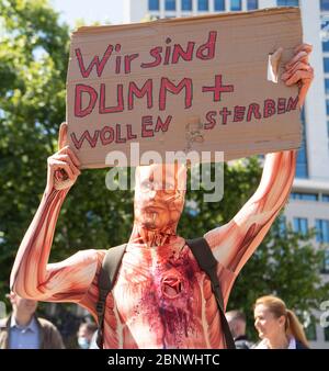 16 mai 2020, Hessen, Francfort-sur-le-main: Avec un panneau en carton disant «nous sommes stupides et voulons mourir», un contre-manifestant mélangé entre les participants d'un rassemblement devant l'Alte Oper à Francfort contre les mesures de couronne du gouvernement. Photo : Boris Roessler/dpa Banque D'Images