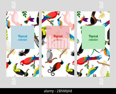 Collection de circulaires Parrot avec motifs d'oiseaux. Illustration vectorielle Illustration de Vecteur