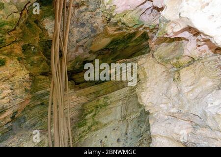 Grotte au milieu de la forêt et un arbre sur le côté droit Banque D'Images