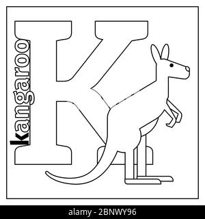 Page de coloriage ou carte pour enfants avec l'alphabet du zoo des animaux anglais. Kangaroo, illustration vectorielle lettre K. Illustration de Vecteur