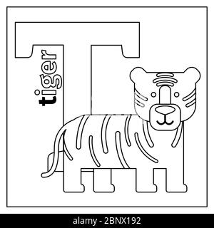 Page de coloriage ou carte pour enfants avec l'alphabet du zoo des animaux anglais. Illustration de vecteur T, Tiger Illustration de Vecteur