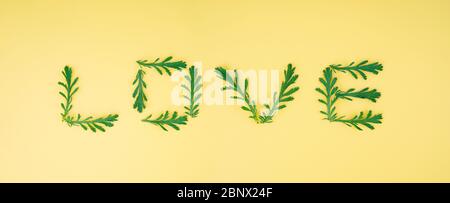 Mot AMOUR fait de feuilles de camomille sur fond jaune clair. Idée de composition romantique. Banque D'Images