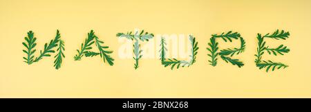 Arrangement créatif de feuilles de camomille sur un fond jaune clair épelant le mot NATURE. Banque D'Images