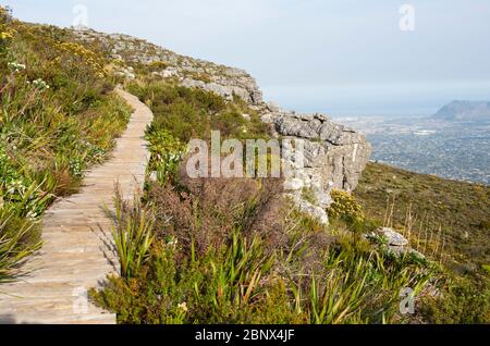 Sentiers de randonnée pédestre sur le sommet de Table Mountain, le Cap Banque D'Images