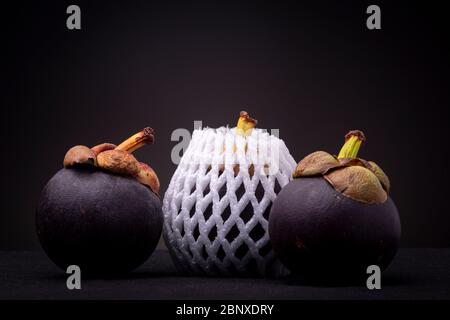 Plastique blanc protecteur molletonné comme ne pas heurter sur l'un des trois fruits exotiques rouge violacé de mangoustan avec tige colorée avec pétales. Banque D'Images