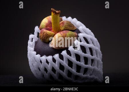 Fruit de mangoustan rouge violacé exotique avec tige colorée et pétales recouverts de plastique blanc protecteur doux comme ne pas heurter. Banque D'Images