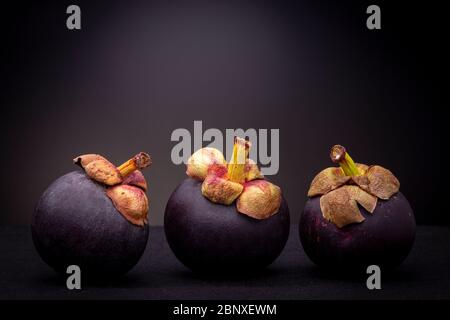 Trois fruits exotiques de Mangosteen rouge-violacé avec leur dessus de pétale jaune, orange, rouge et doré. Les aliments de studio à faible teneur en clés continuent de vivre contre un dos sombre Banque D'Images