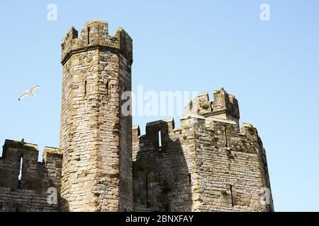 Les tours du château de Caernarfon dans le nord du pays de Galles Banque D'Images