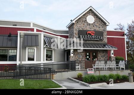 Un logo à l'extérieur d'un restaurant Red Lobster à Wilmington, Delaware, le 4 mai 2020. Banque D'Images