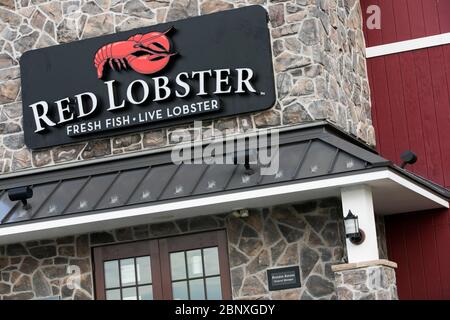 Un logo à l'extérieur d'un restaurant Red Lobster à Wilmington, Delaware, le 4 mai 2020. Banque D'Images