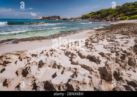 Côte de corail ancienne et rugueuse sur une plage éloignée avec des rochers de granit, Grand L Anse, la Digue, Seychelles Banque D'Images