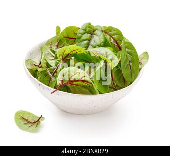 Feuilles d'étrel fraîches dans un bol blanc. Sorrel à veiné rouge. Micro-vert dans un bol en céramique. Banque D'Images