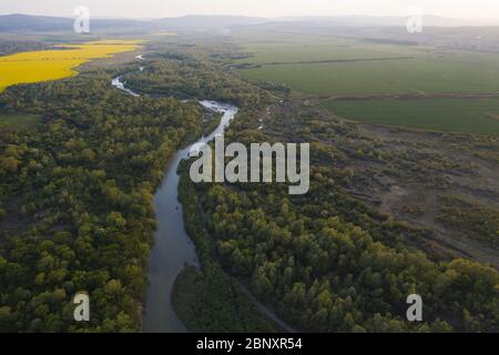 Envolez-vous à travers la majestueuse rivière Dnister, la forêt verte luxuriante et les champs de colza jaune en pleine floraison au coucher du soleil. Ukraine, Europe. Photographie de paysage Banque D'Images