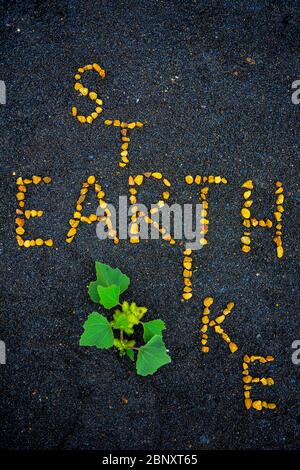 La grève de la terre, message puissant sur le respect de notre planète Terre. Orange, roches jaunes forment des lettres, des mots sur un magnifique fond de sable noir avec du vert Banque D'Images