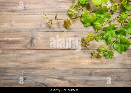 Arrière-plan en bois avec bordure de feuilles de vigne. Feuille de raisin vert Banque D'Images