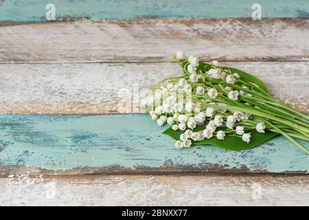 Le Lily de la vallée fleurit sur fond rustique en bois Banque D'Images