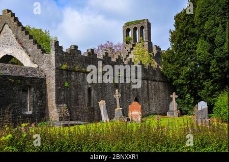Châteaux anciens en Irlande au nord de Dublin Banque D'Images