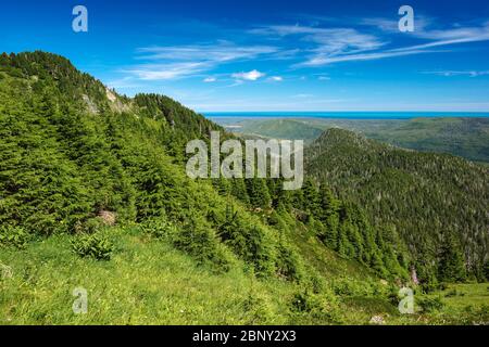 Vue depuis le Sentier Sleeping Beauty Trail, sur l'île Graham, Haida Gwaii, Colombie-Britannique, Canada. Banque D'Images