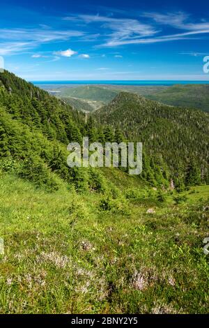 Vue depuis le Sentier Sleeping Beauty Trail, sur l'île Graham, Haida Gwaii, Colombie-Britannique, Canada. Banque D'Images