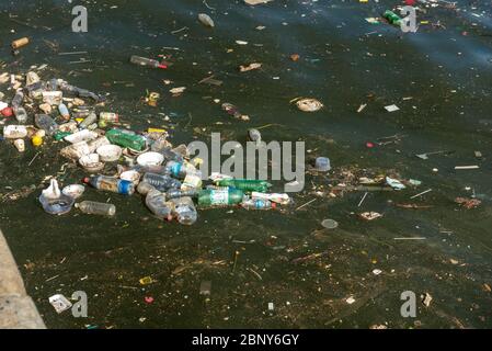 Pollution dans la baie de Guanabara, à côté du Musée de demain. Rio de Janeiro, Brésil. Banque D'Images