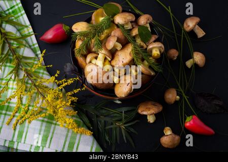 Bol avec champignons de cueillette de forêt, serviette à carreaux verts et herbe sauvage sur fond noir, vue du dessus. Concept végétarien de nourriture saine Banque D'Images