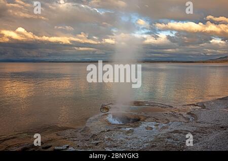 WY04383-00...WYOMING - le géodéeur du Lakeshore Trail sur les rives du lac Yellowstone dans le bassin West Thumb Geyser de Yellowstone National Banque D'Images