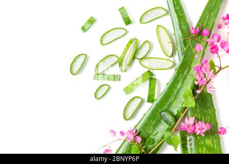 Aloe Vera de tranche fraîche avec rameer rose iaolated sur fond blanc, médecine de fines herbes utile pour les soins de la peau et les soins des cheveux et les produits de beauté. Banque D'Images