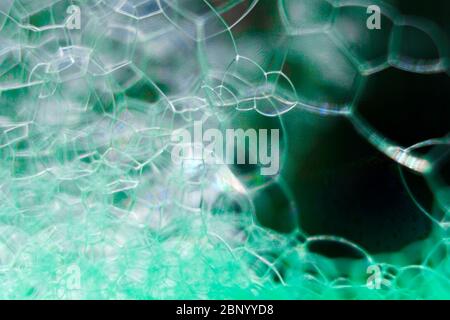 Résumé macro propre vert mousse grenée arrière-plan des bulles de savon Banque D'Images