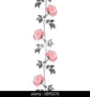 Bordure verticale sans couture à motif floral. Motif aquarelle avec roses. Arrière-plan aquarelle sans couture Banque D'Images