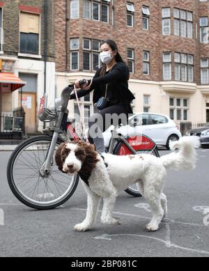 Londres, Royaume-Uni. 16 mai 2020. Cinquante-quatre jours de Lockdown, à Londres. Une dame prend son chien pour une promenade, tout en faisant un vélo. C'est le premier week-end d'un léger relâchement du verrouillage en Angleterre, le message du gouvernement est maintenant « alerte » au lieu de « vive à la maison ». Maintenant vous pouvez sortir plus, jouer au golf, aller à la pêche, et visiter les centres de jardin, mais les mesures sociales de distance devraient toujours être maintenues. Le pays a été verrouillé en raison de la pandémie du coronavirus COVID-19. COVID-19 coronavirus LockDown, Peterborough, Royaume-Uni, on 16 mai 2020 crédit: Paul Marriott/Alay Live News Banque D'Images