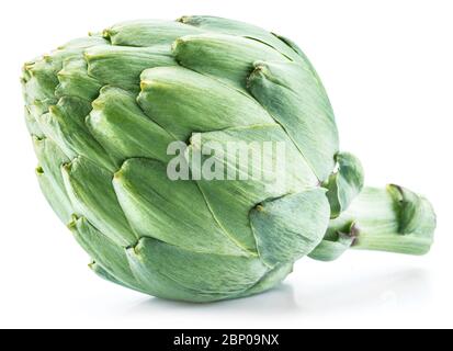 Fleur d'artichaut bourgeon comestible isolé sur fond blanc. Banque D'Images