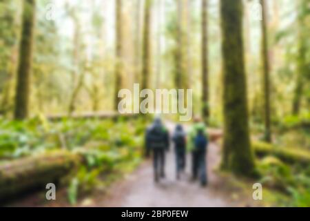 Les gens qui font de la randonnée dans la forêt dans la région du parc national olympique, Washington, états-unis. Banque D'Images