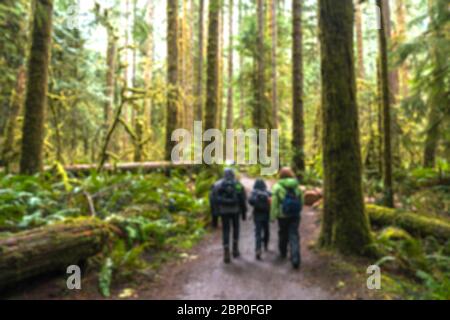 Les gens qui font de la randonnée dans la forêt dans la région du parc national olympique, Washington, états-unis. Banque D'Images