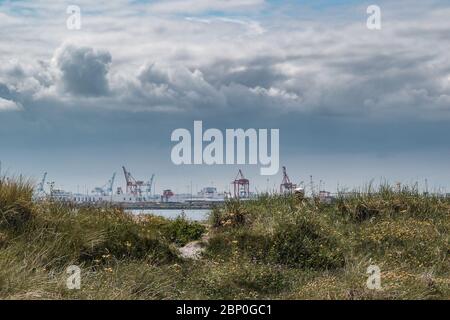 Vue depuis la plage sur le port de Dublin avec de grandes grues industrielles, moody Colors. Banque D'Images