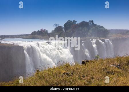 Victoria tombe en septembre, Zimbabwe Banque D'Images