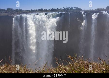 Victoria tombe en septembre, Zimbabwe Banque D'Images