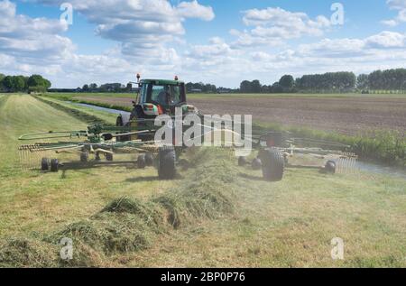 tracteur dans le champ avec faneuse d'herbe pendant la récolte du foin aux pays-bas sous ciel bleu Banque D'Images