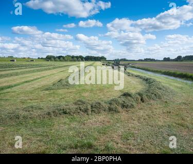 tracteur dans le champ avec faneuse d'herbe pendant la récolte du foin aux pays-bas sous ciel bleu Banque D'Images