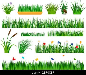 Gabarit de culture de l'herbe pour le vecteur de jardin. Section de jardinier et boîtes avec fleurs, buissons de bulrush et de conge isolés sur blanc Illustration de Vecteur